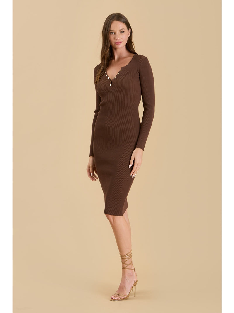 The Workshop Lizeth Henley Long Sleeve Knit Dress In Brown