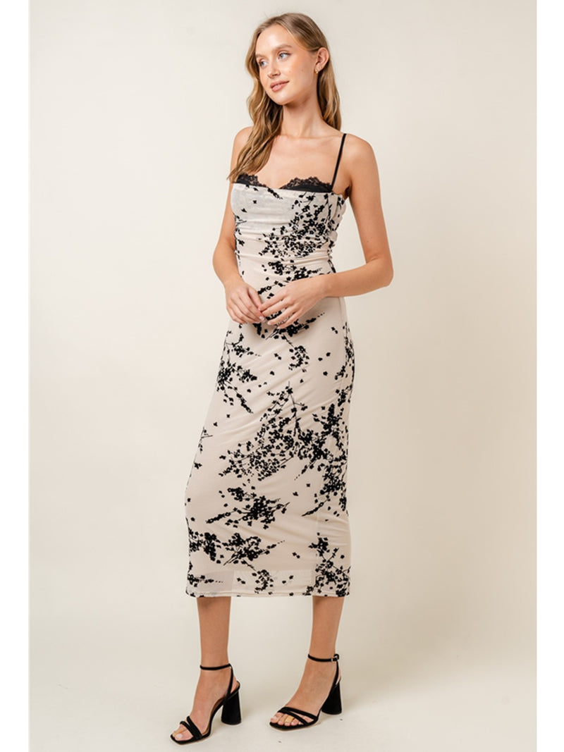 Fore Collection Cara Mesh Velvet Dress In Black Cream