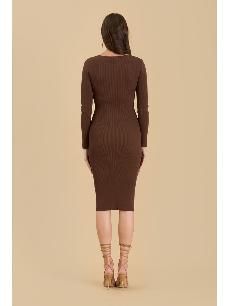 The Workshop Lizeth Henley Long Sleeve Knit Dress In Brown