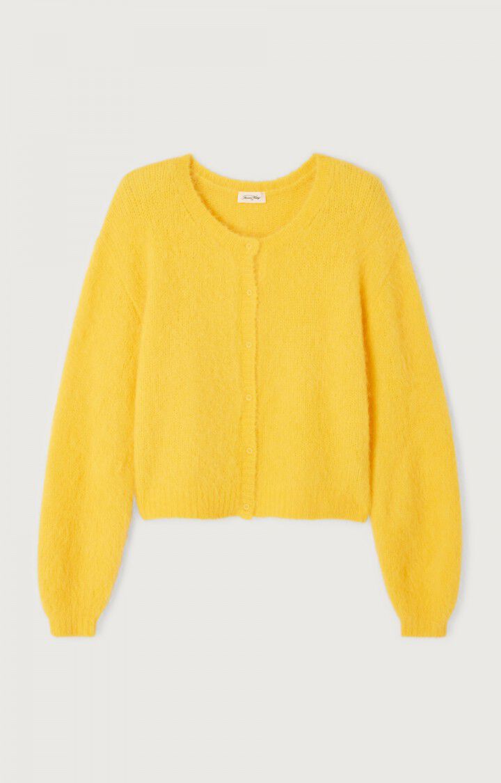 American Vintage Niby Sweater in Pissenlit