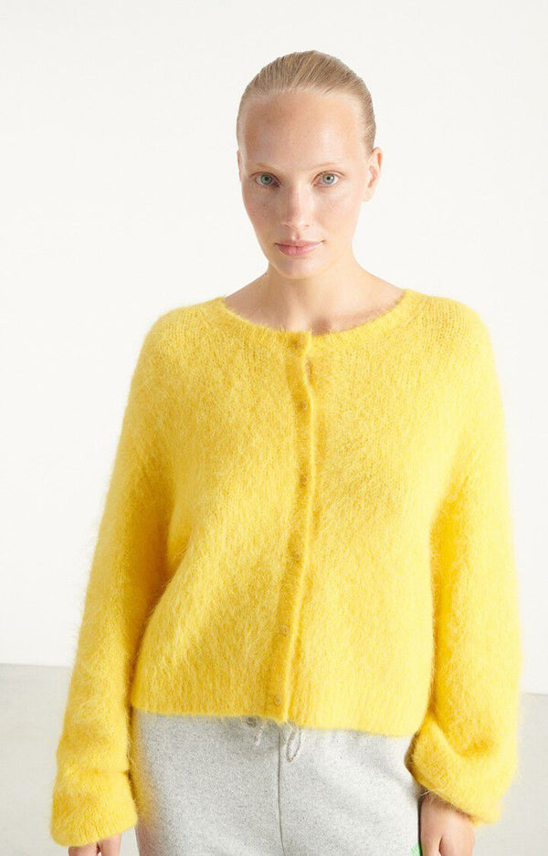 American Vintage Niby Sweater in Pissenlit