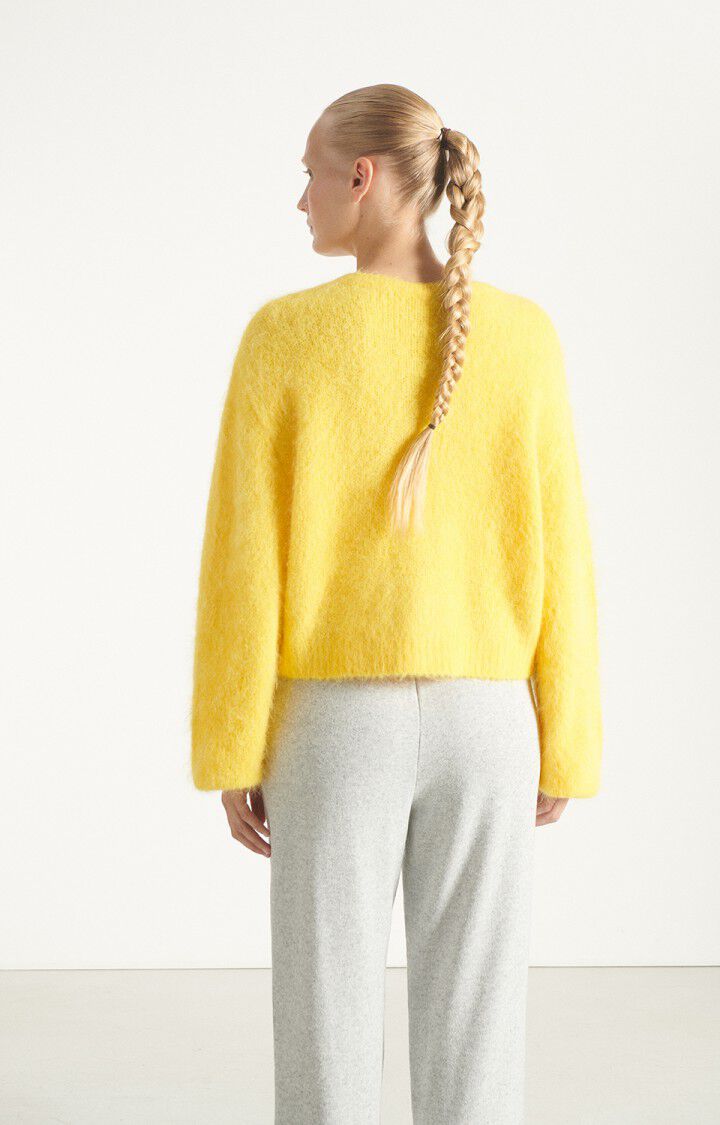 American Vintage Niby Sweater in Pissenlit